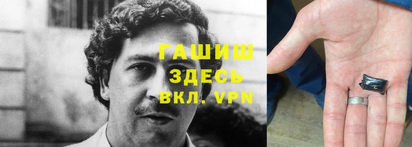 хмурый Аркадак
