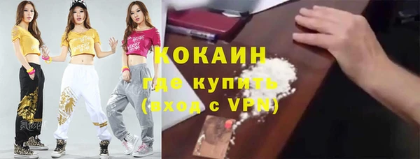 apvp Алексин