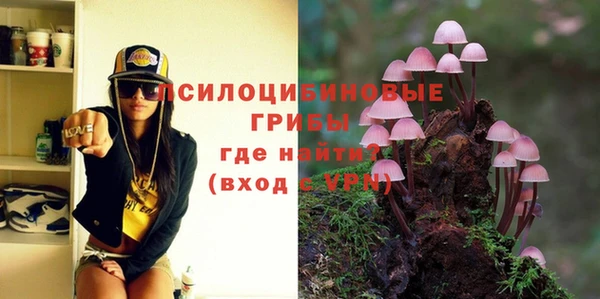 дмт Арсеньев