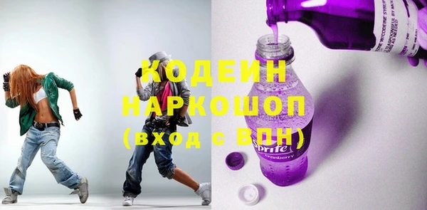 хмурый Аркадак