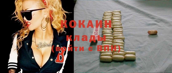 хмурый Аркадак