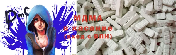 хмурый Аркадак