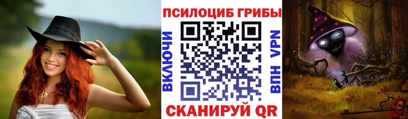 как найти   Волхов  Галлюциногенные грибы Cubensis 